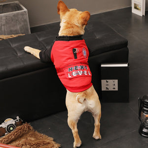 Dress Your Pup in Style This Autumn and Winter
