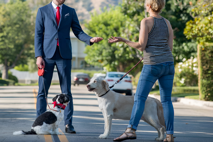 Durable Leashes for Safe Walks