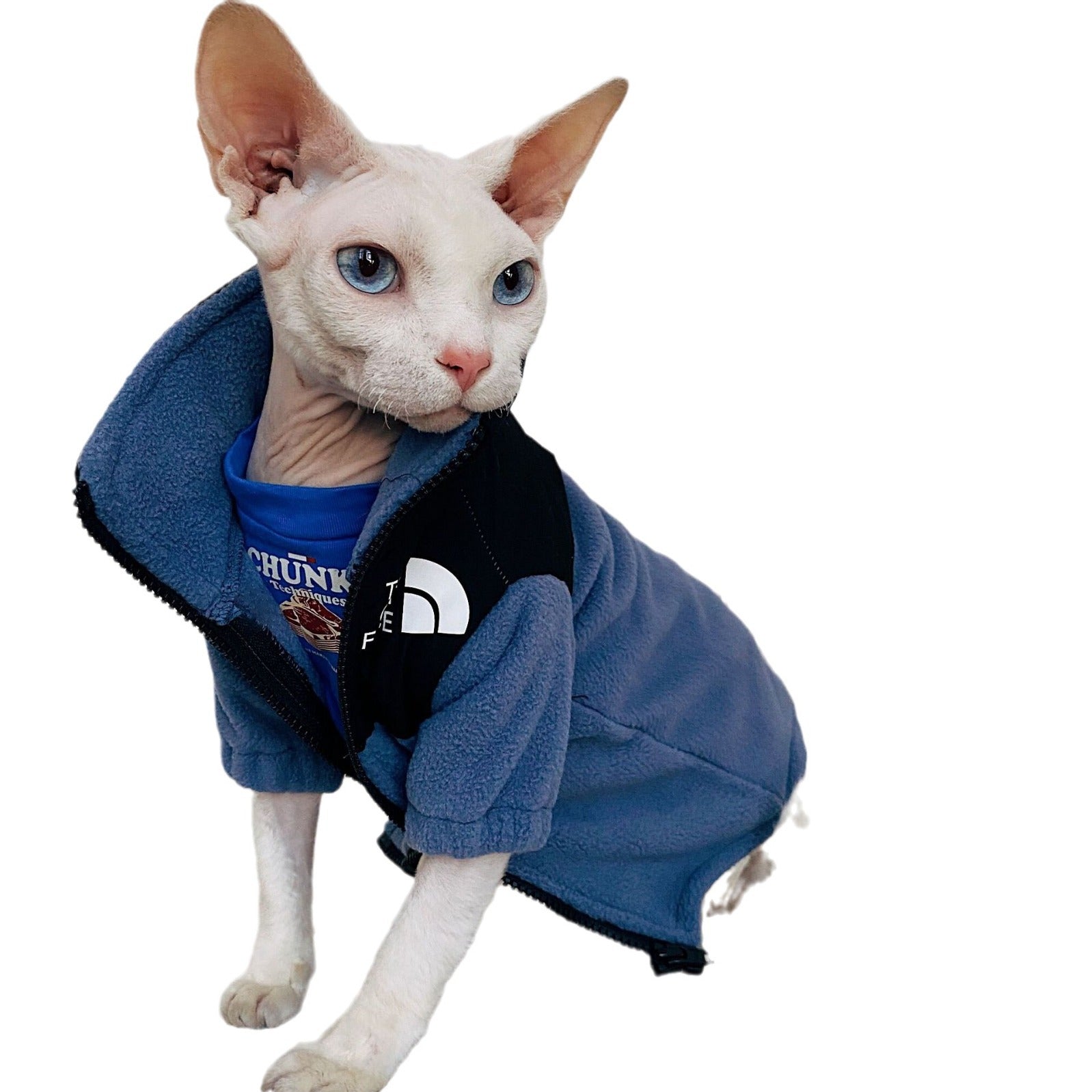 Hairless Cat Clothes Warm