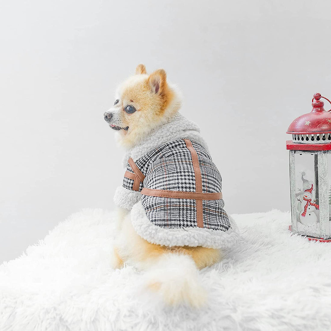 Pet Two Legged Clothes Autumn And Winter