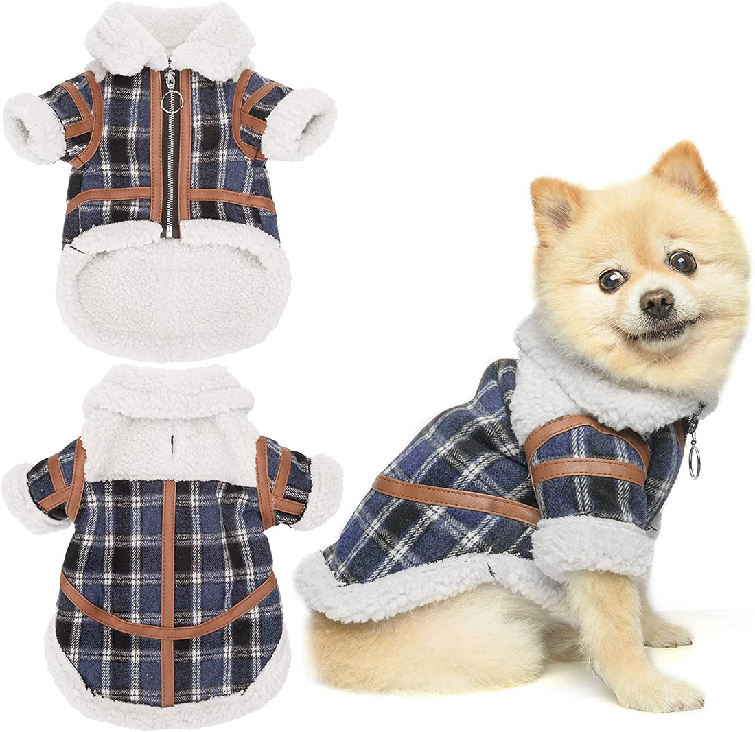 Pet Two Legged Clothes Autumn And Winter