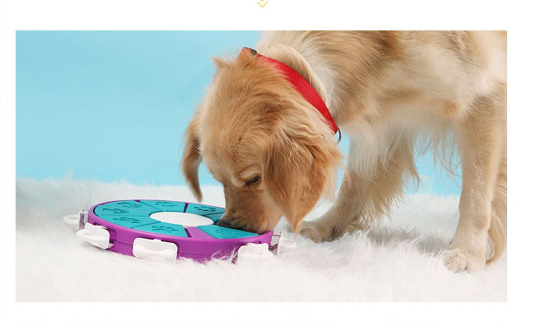 Dog Puzzle Toys Increase IQ Interactive Puppy
