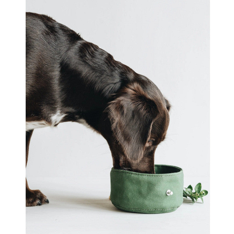 Portable Folding Dog Bowl with Food Storage Bag