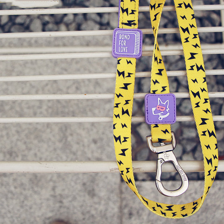 Pet cat and dog leash