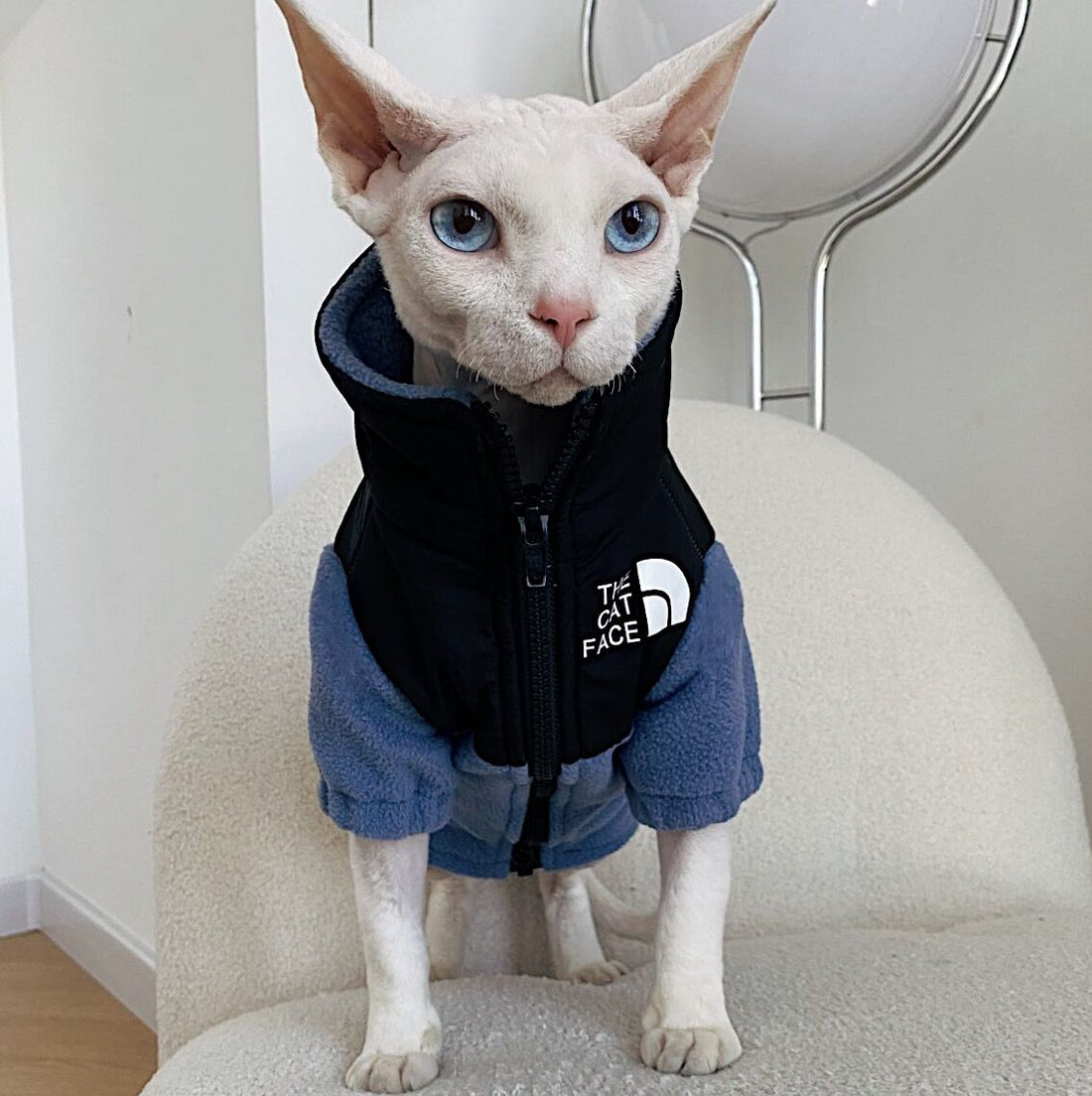 Hairless Cat Clothes Warm