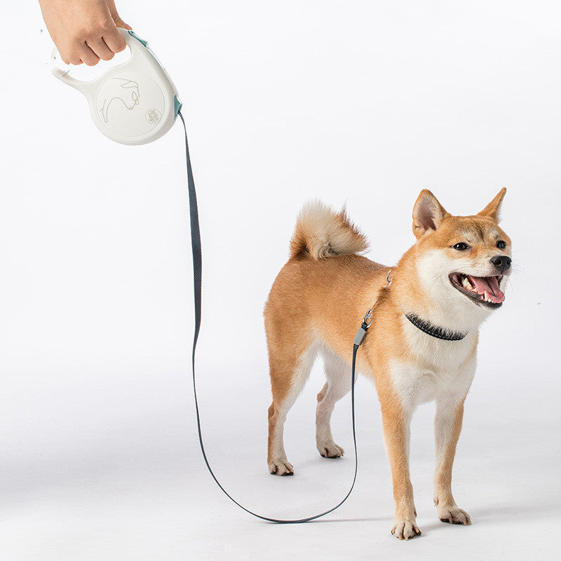 Leash For Small, Medium And Large Dogs
