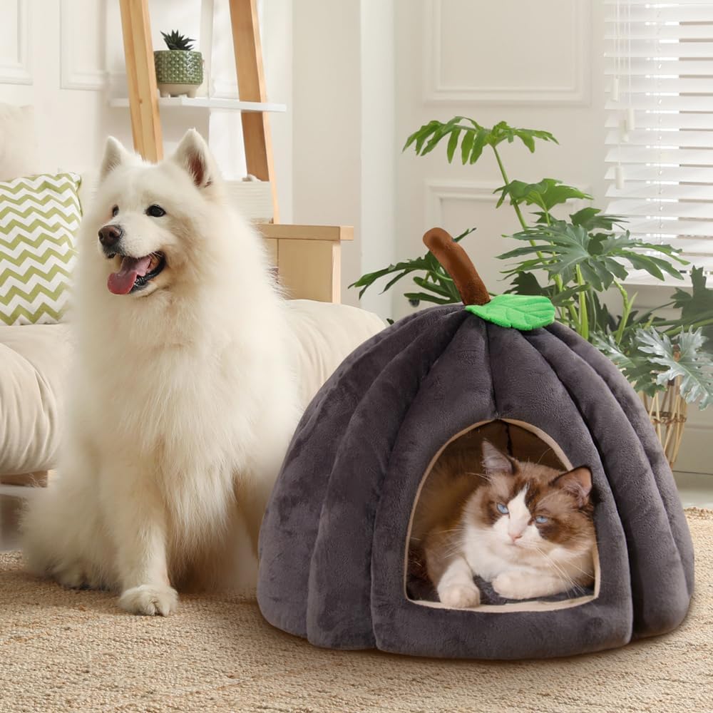 New Pumpkin Cat Bed Cat Beds For Indoor Cats