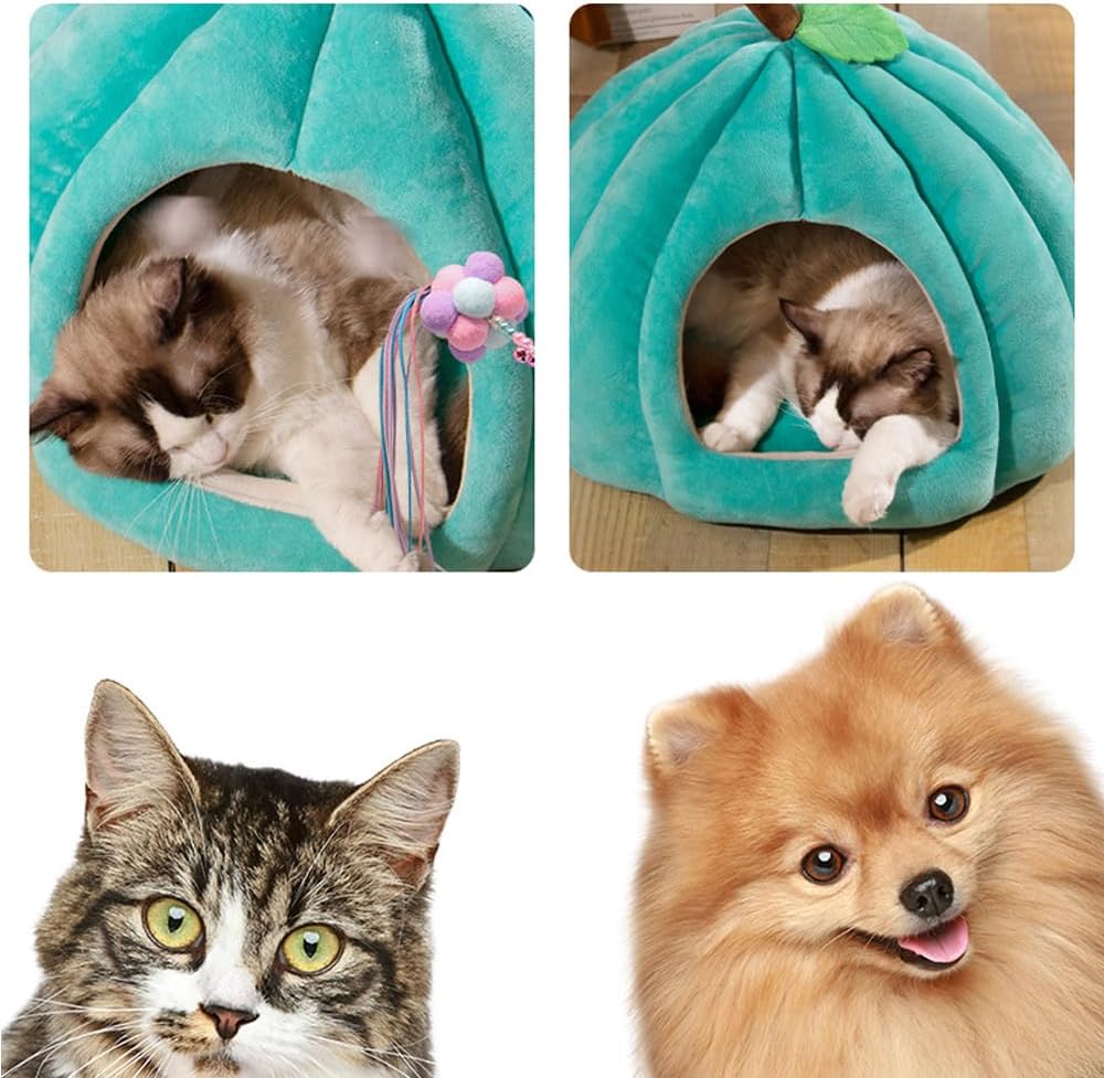 New Pumpkin Cat Bed Cat Beds For Indoor Cats