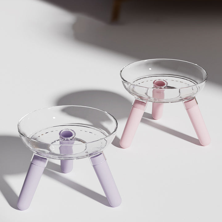 Transparent Glass Bowl Cat Bowl