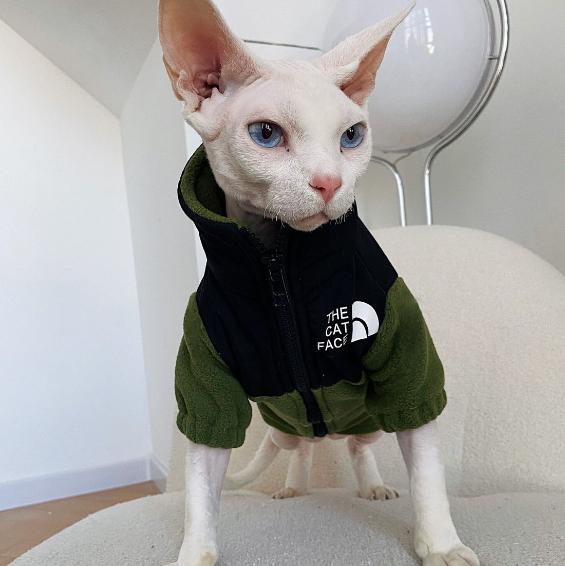 Hairless Cat Clothes Warm