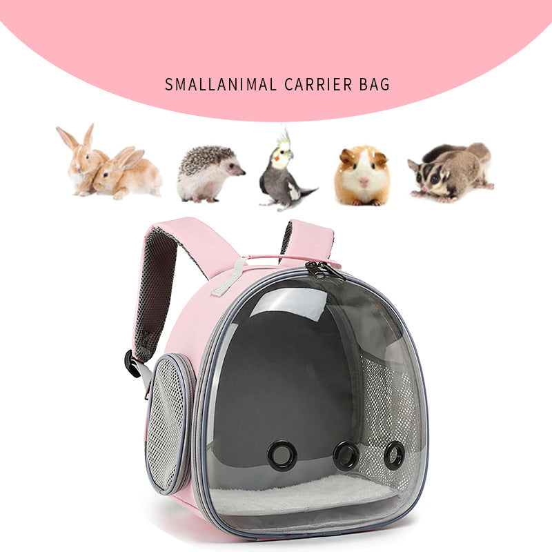 Transparent Small Animal Carrier