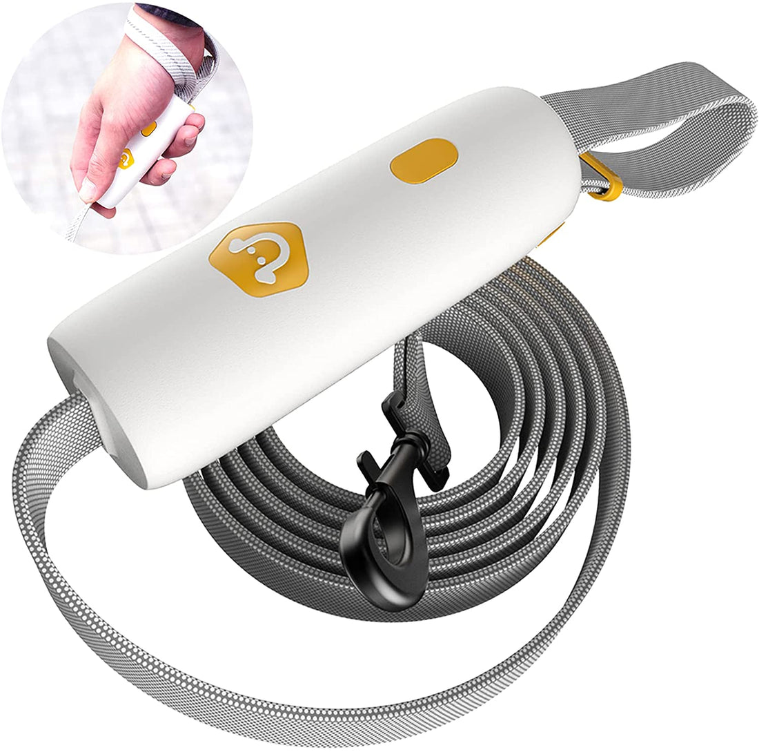 Elastic Leash Small And Medium-sized