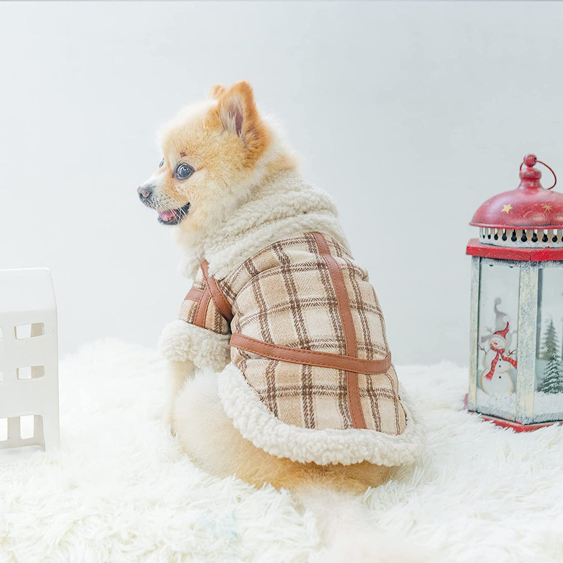 Pet Two Legged Clothes Autumn And Winter