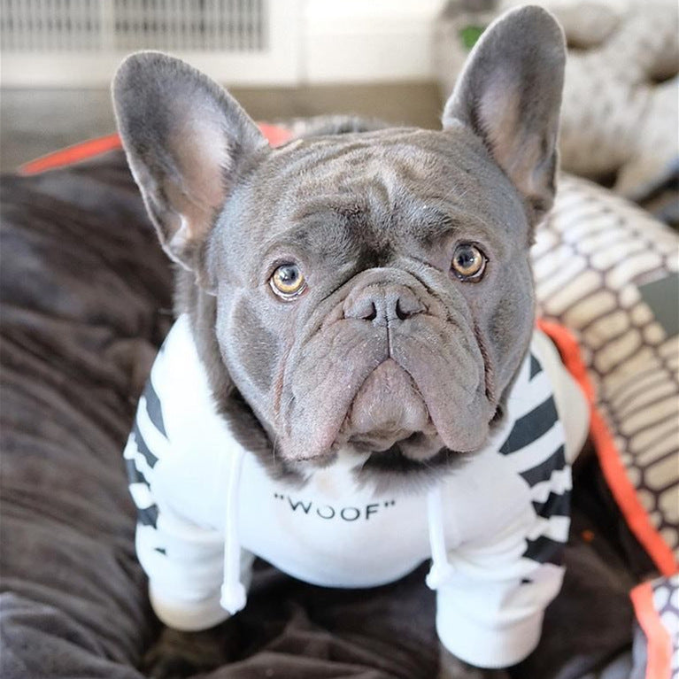 three-stripe dog sweater spoof autumn and winter