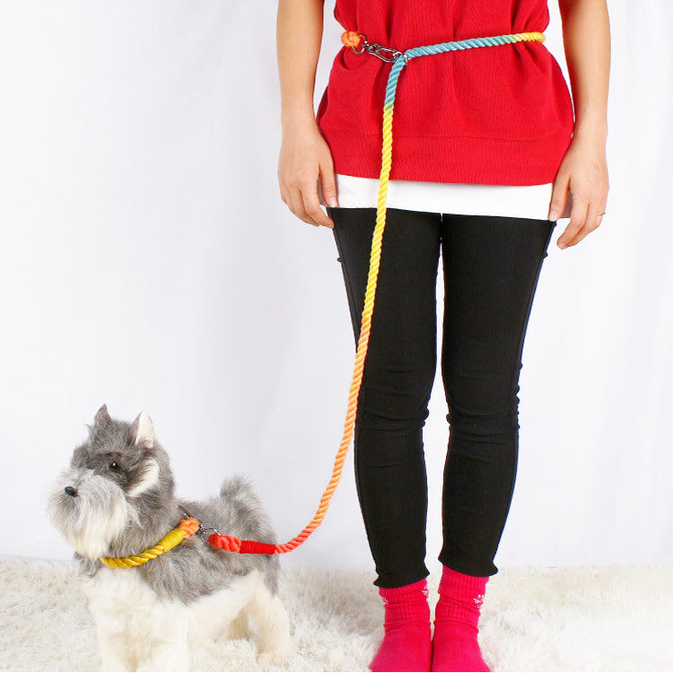 Braided Double-ended Dog Leash