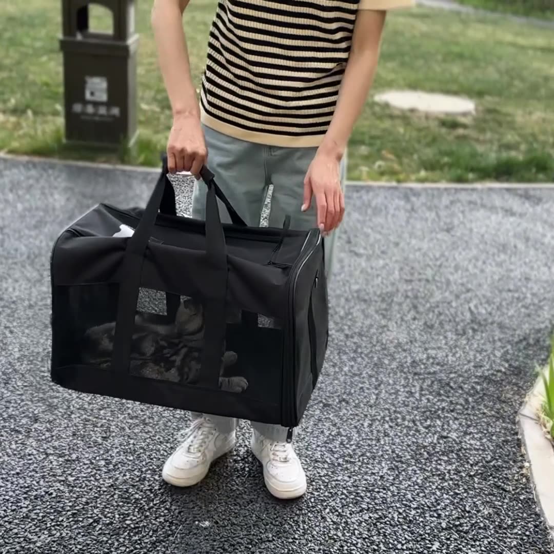 Car Portable Transport Pet Bag