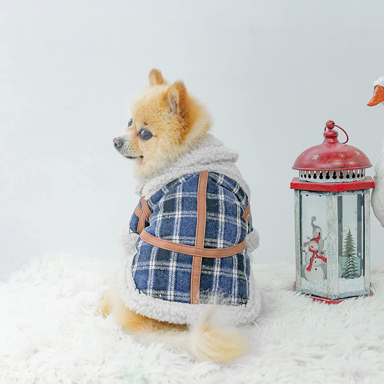 Pet Two Legged Clothes Autumn And Winter