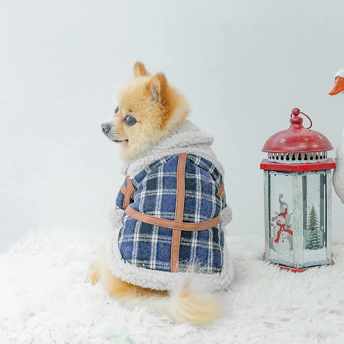 Pet Two Legged Clothes Autumn And Winter