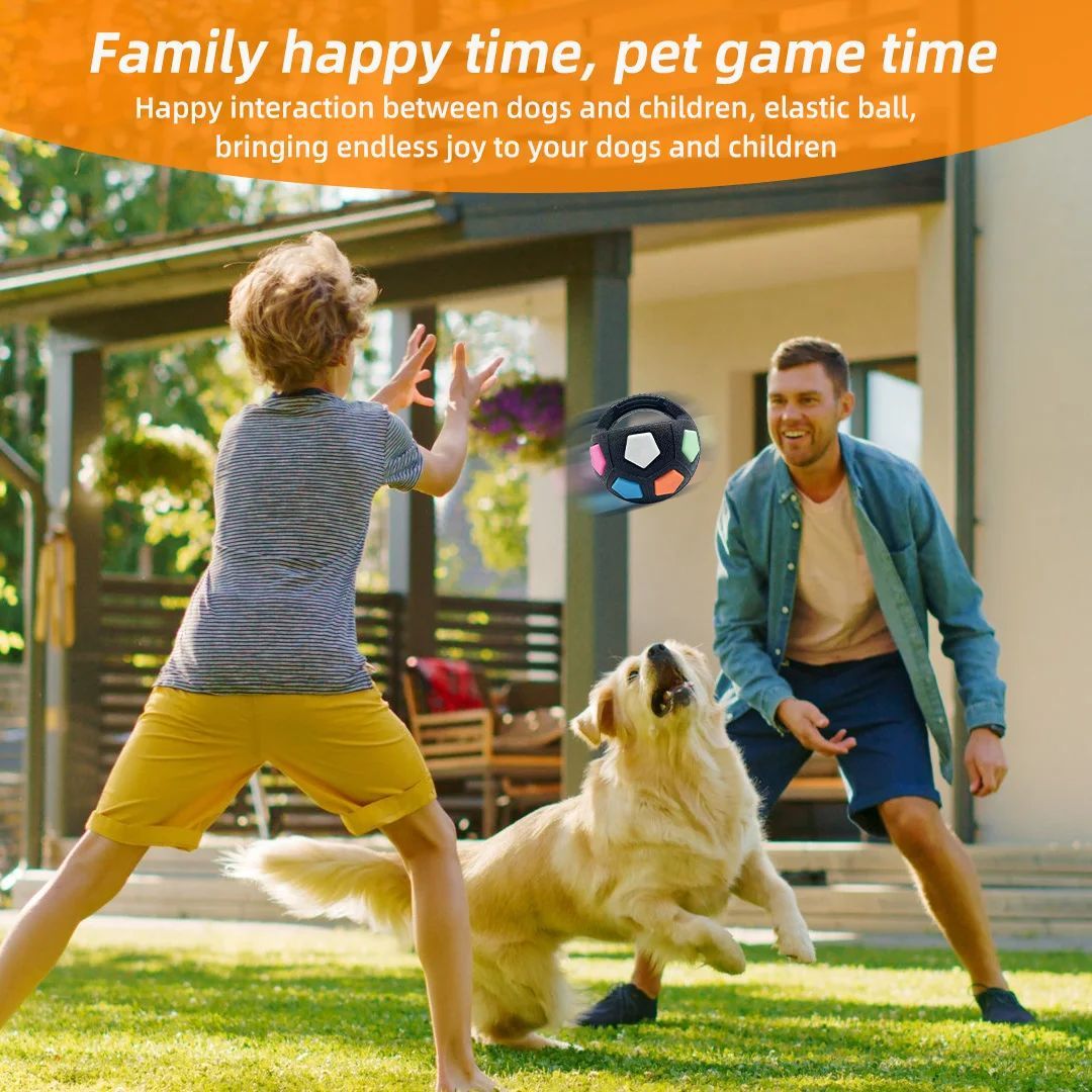 Football Tennis Ball Shaped Pet Dog Toys