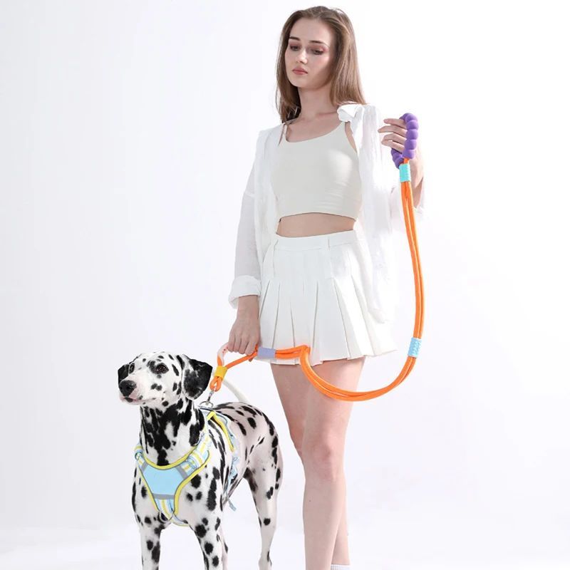 Leashes With A Comfortable Foam Handle