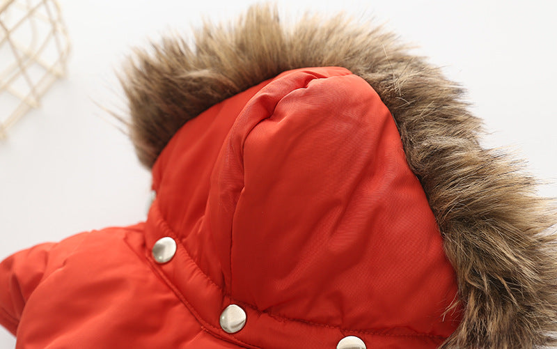 Dog Hooded Cotton Jacket