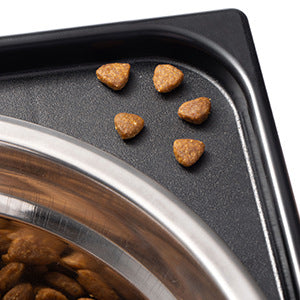 Feeding Bowl Neck Protection Anti-tumble