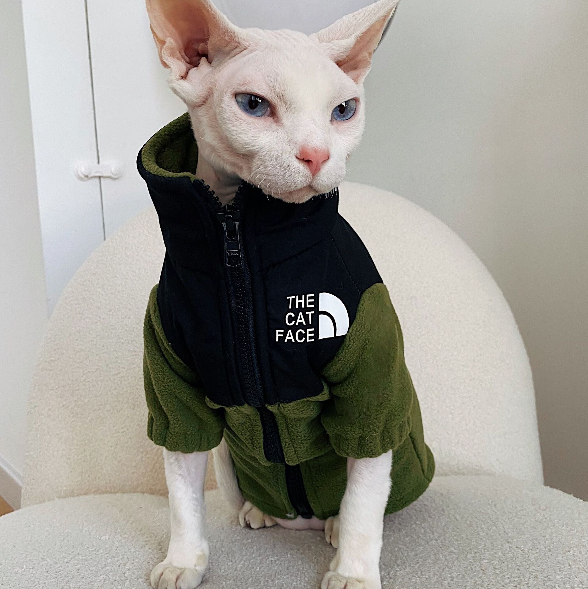 Hairless Cat Clothes Warm