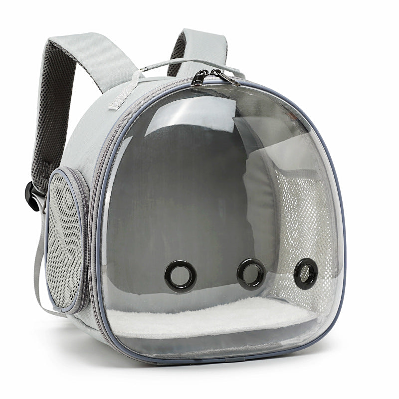 Transparent Small Animal Carrier