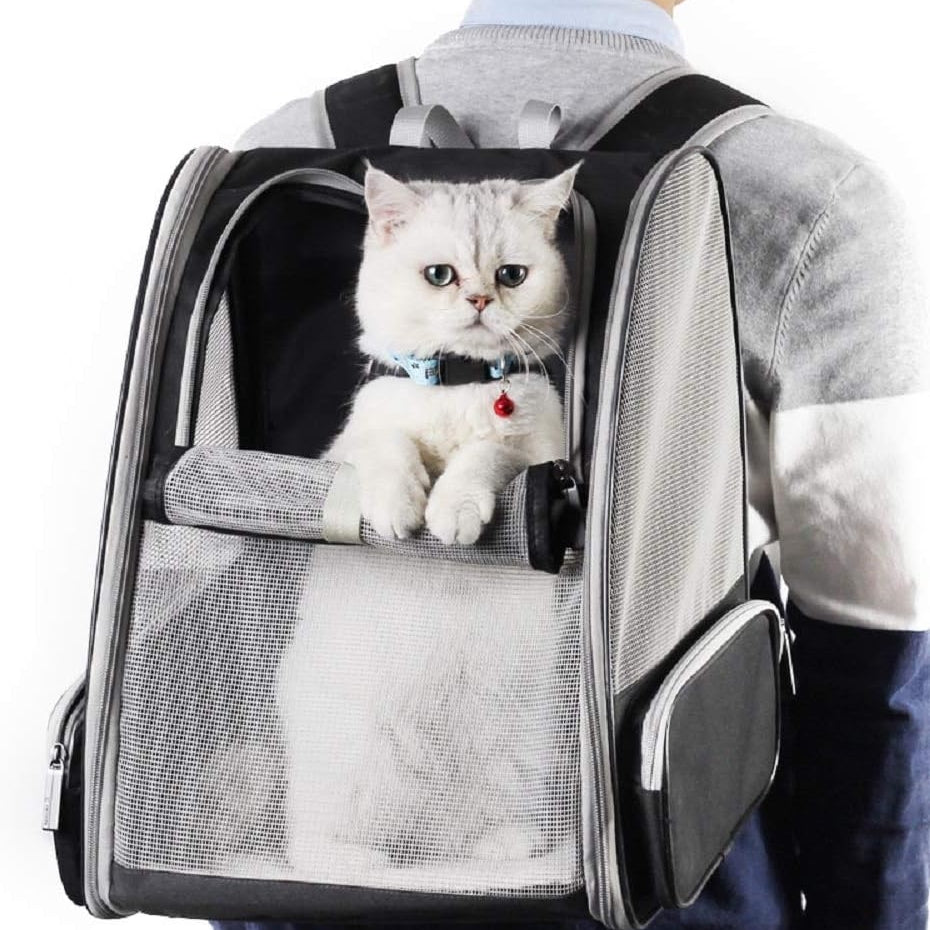 Bubble Backpack Pet Carriers