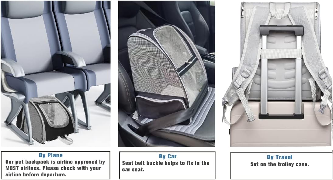 Bubble Backpack Pet Carriers