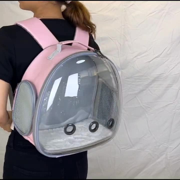Transparent Small Animal Carrier