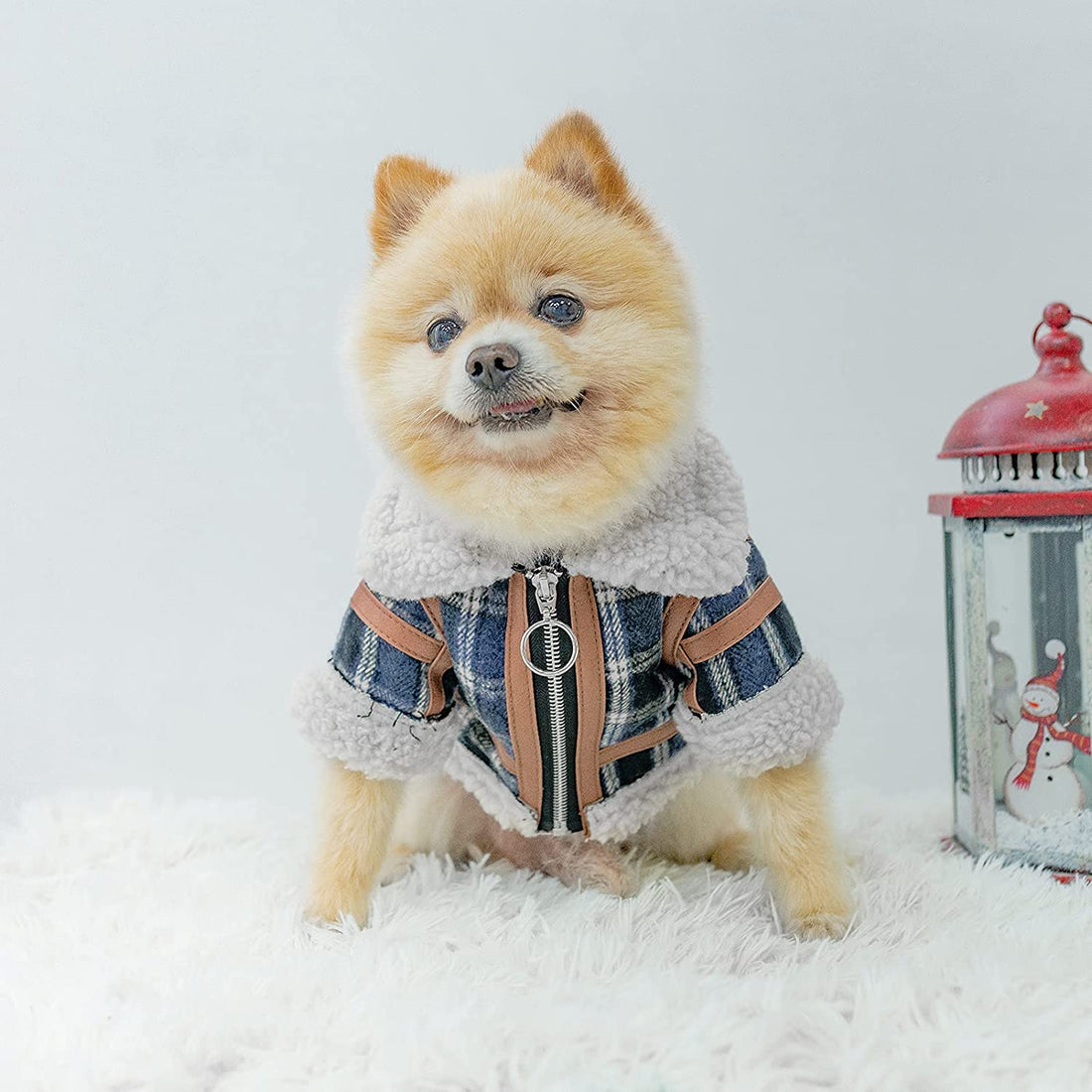 Pet Two Legged Clothes Autumn And Winter
