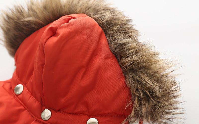 Dog Hooded Cotton Jacket