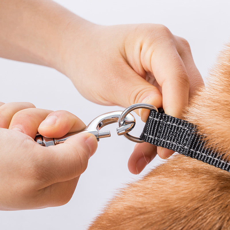 Leash For Small, Medium And Large Dogs