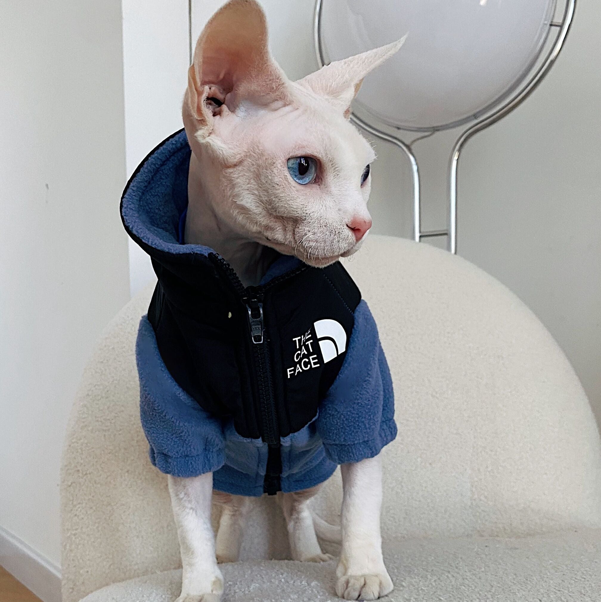 Hairless Cat Clothes Warm