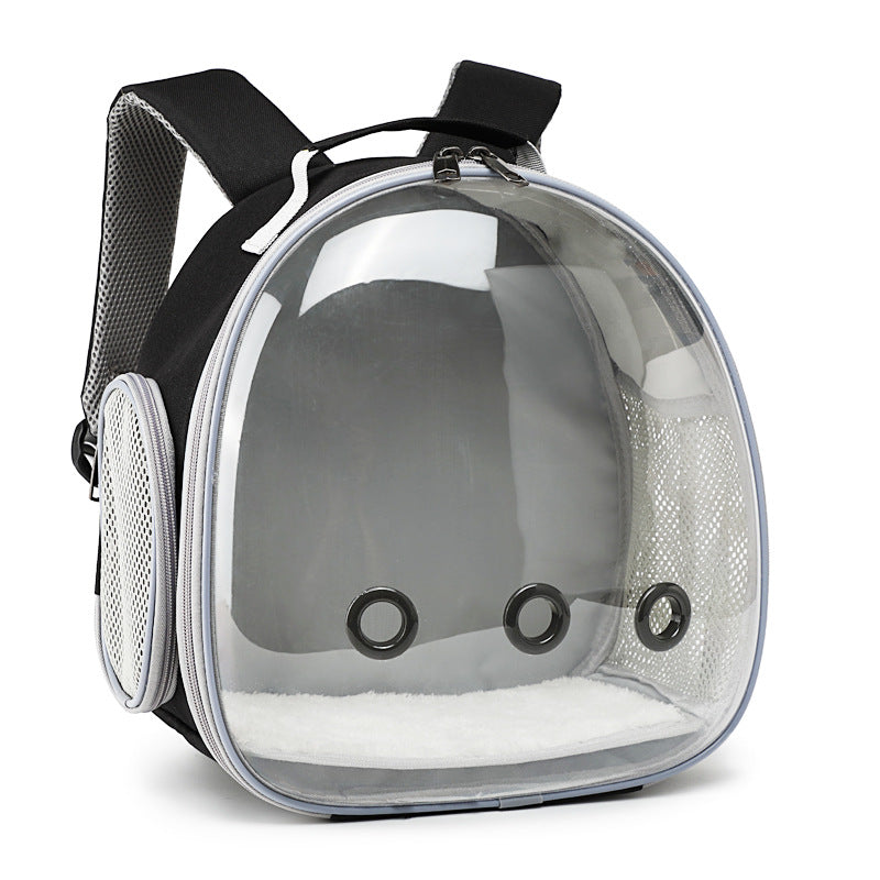 Transparent Small Animal Carrier