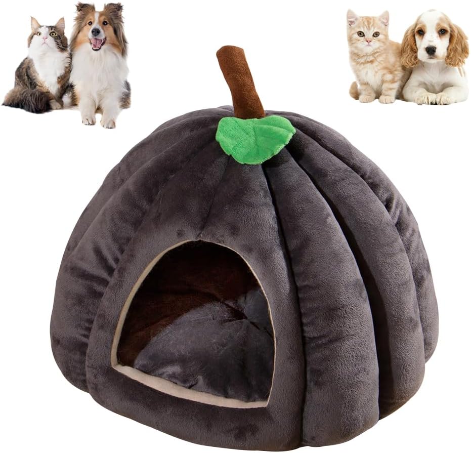 New Pumpkin Cat Bed Cat Beds For Indoor Cats