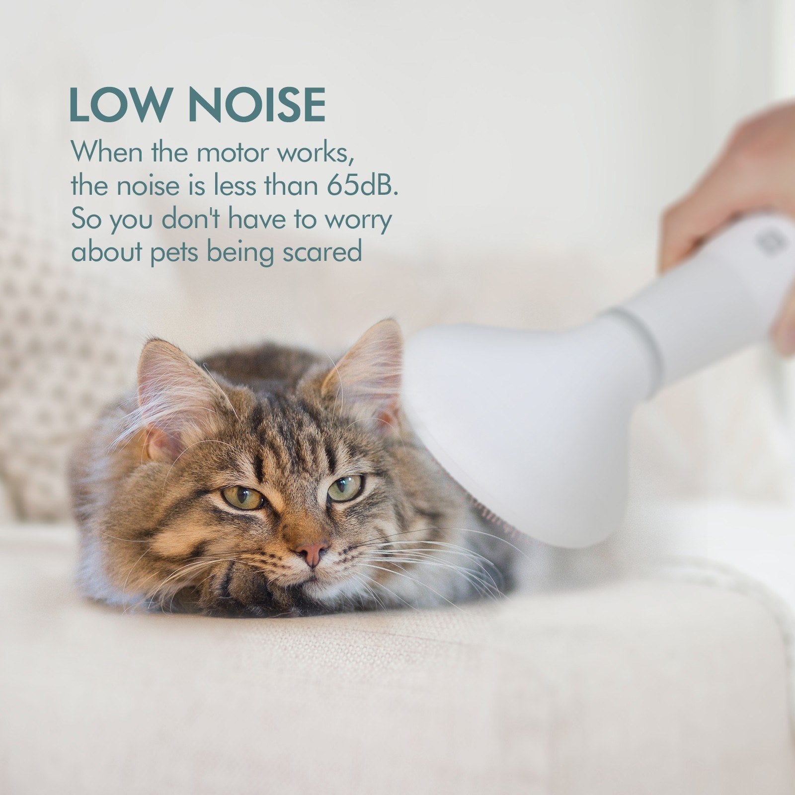 Dadypet Pet Dog Hair Dryer