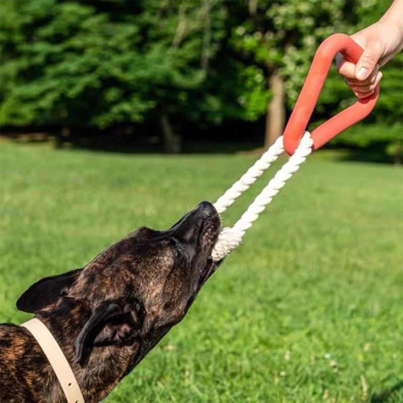 Triangle Cotton Rope Dog Tug Toy