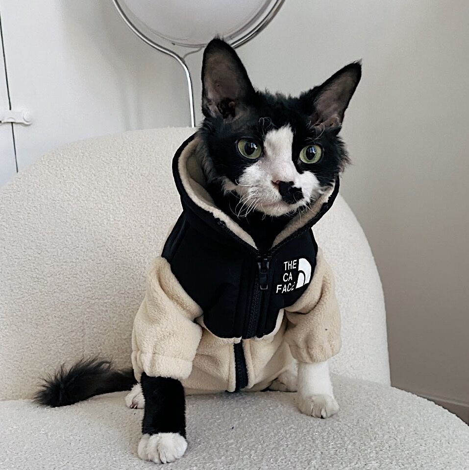 Hairless Cat Clothes Warm