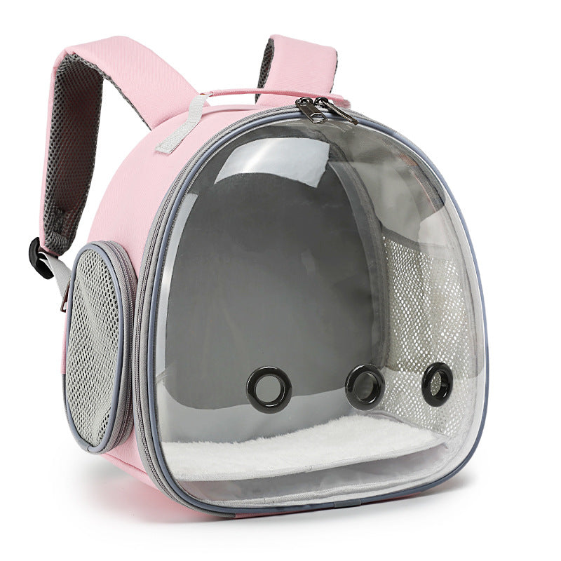 Transparent Small Animal Carrier