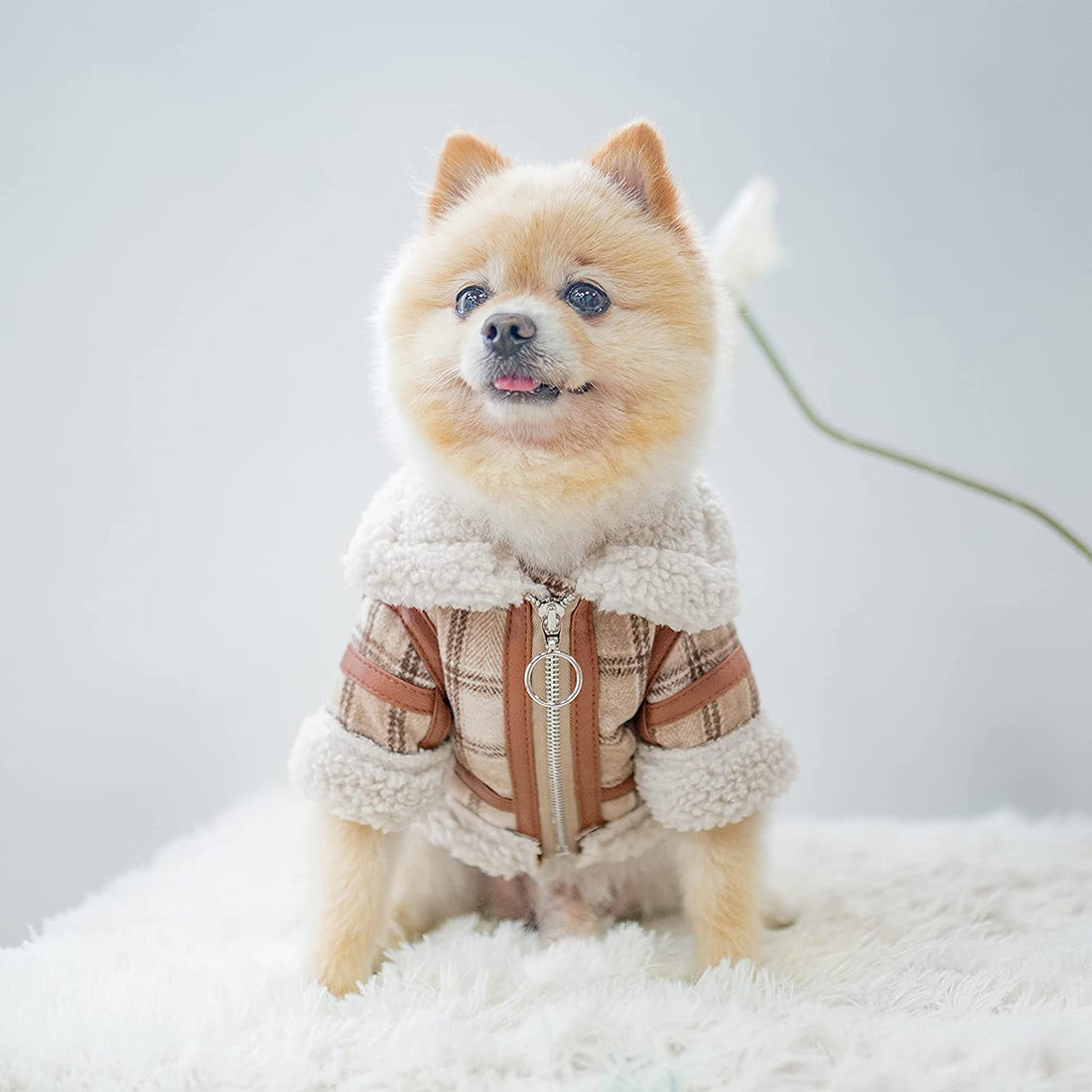 Pet Two Legged Clothes Autumn And Winter