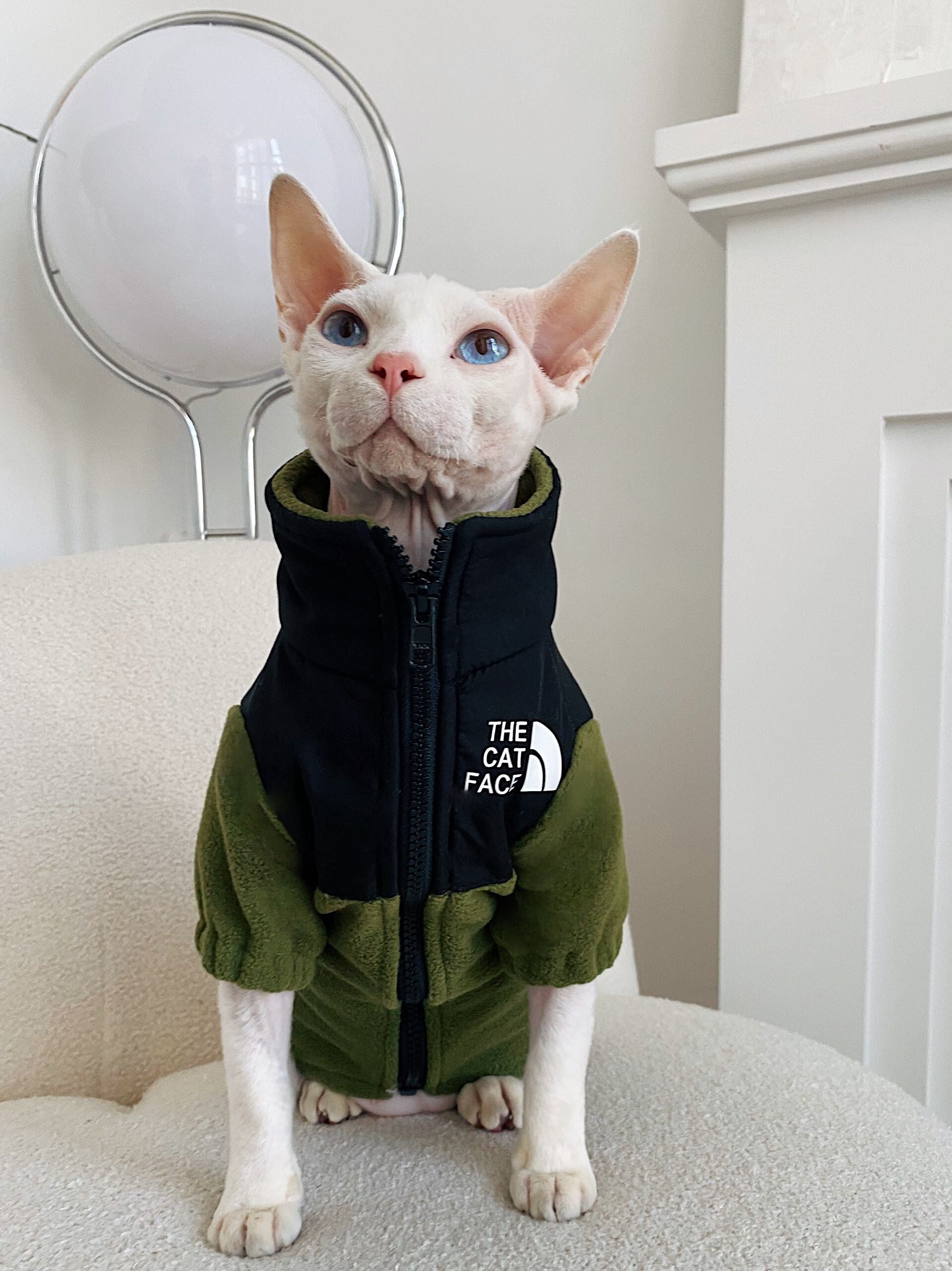 Hairless Cat Clothes Warm