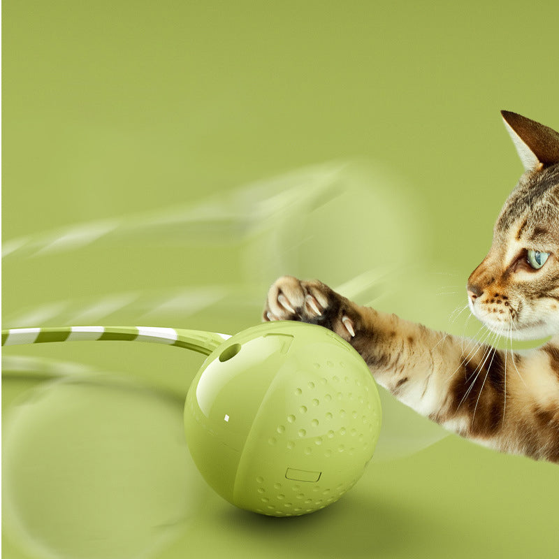 Automatic Interactive Cat Ball with Wagging Tail - USB Rechargeable